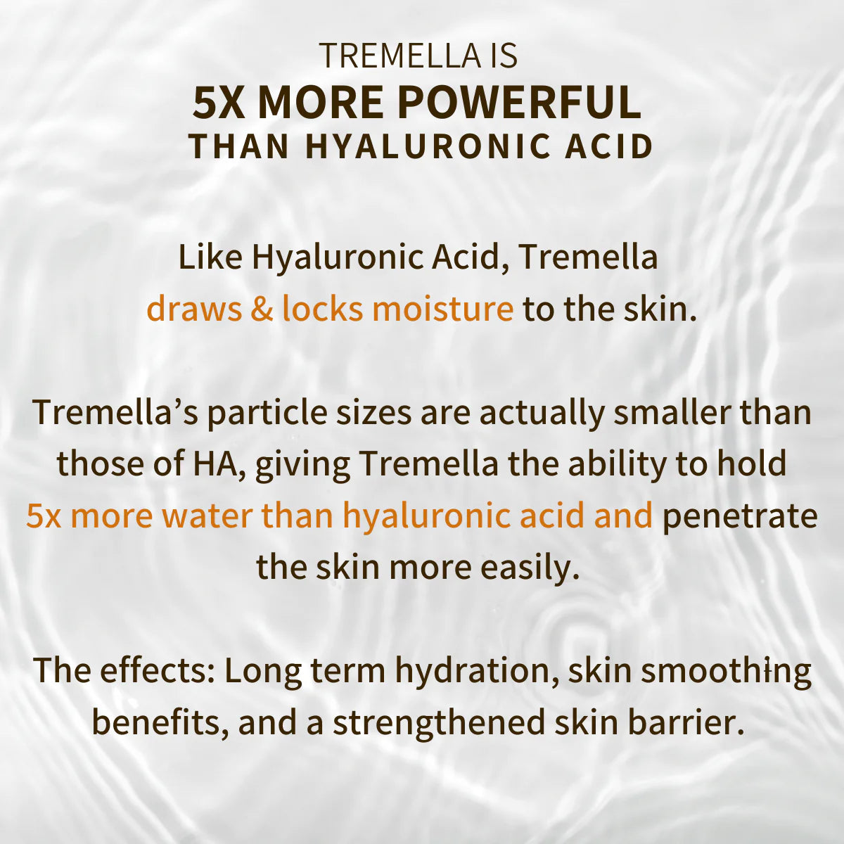 Anti-Aging Tremella & Reishi Mushroom Face Oil Serum